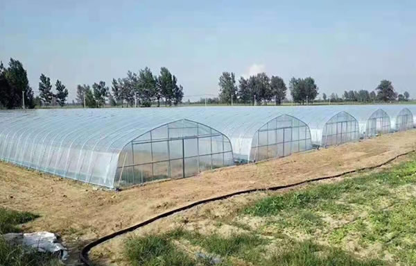 恒峰g22(国际)官网入口-天天有惊喜