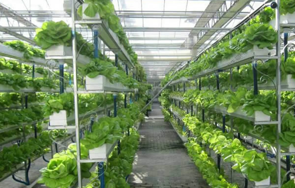 恒峰g22(国际)官网入口-天天有惊喜