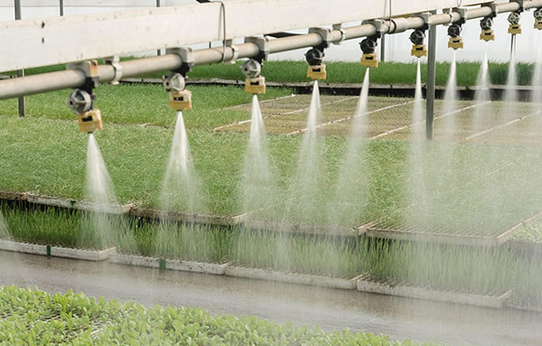 恒峰g22(国际)官网入口-天天有惊喜