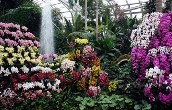 恒峰g22(国际)官网入口-天天有惊喜